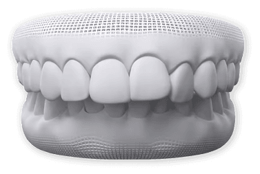 Bite Concerns